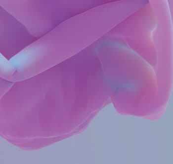 grid image